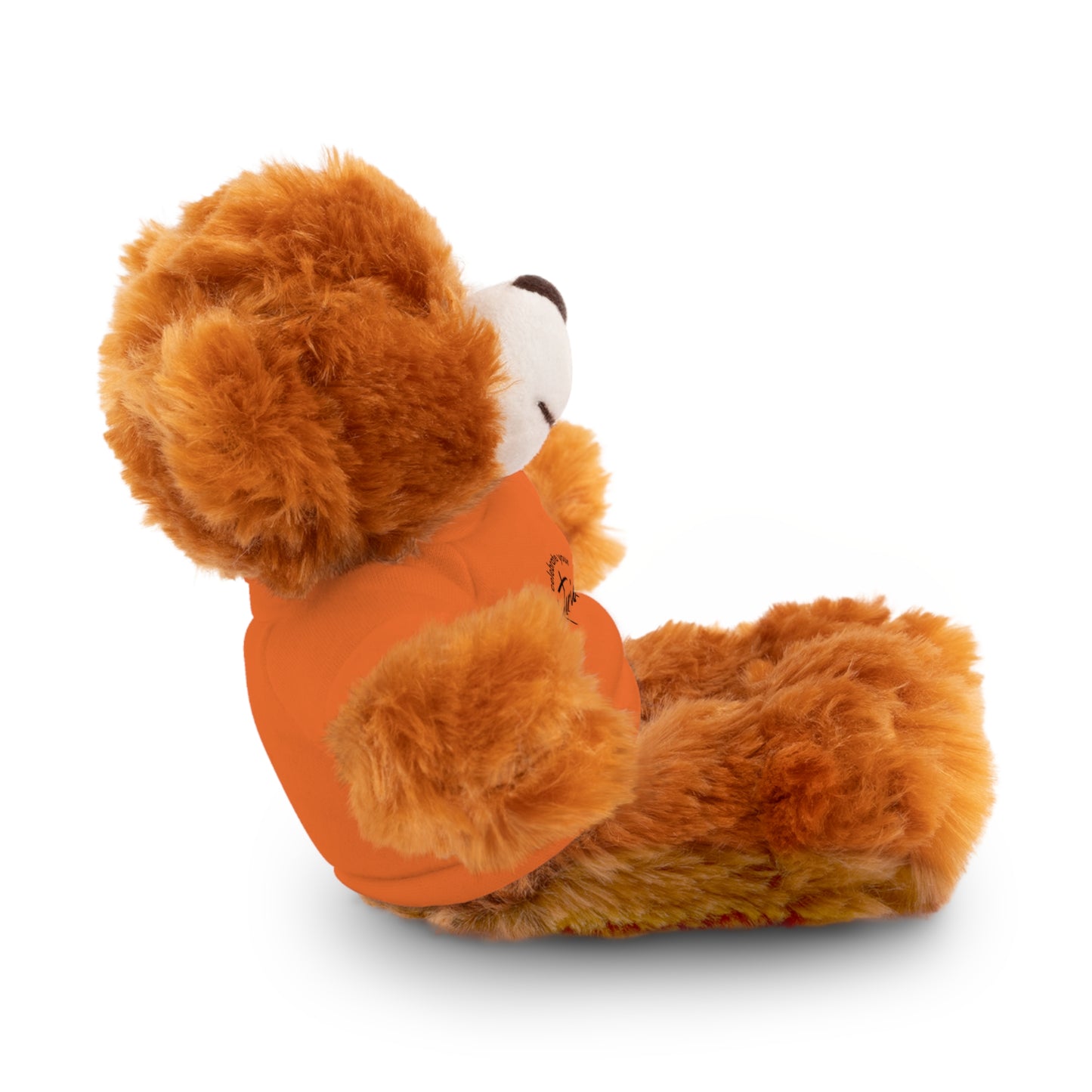 Celebrate - Stuffed Animals with Tee