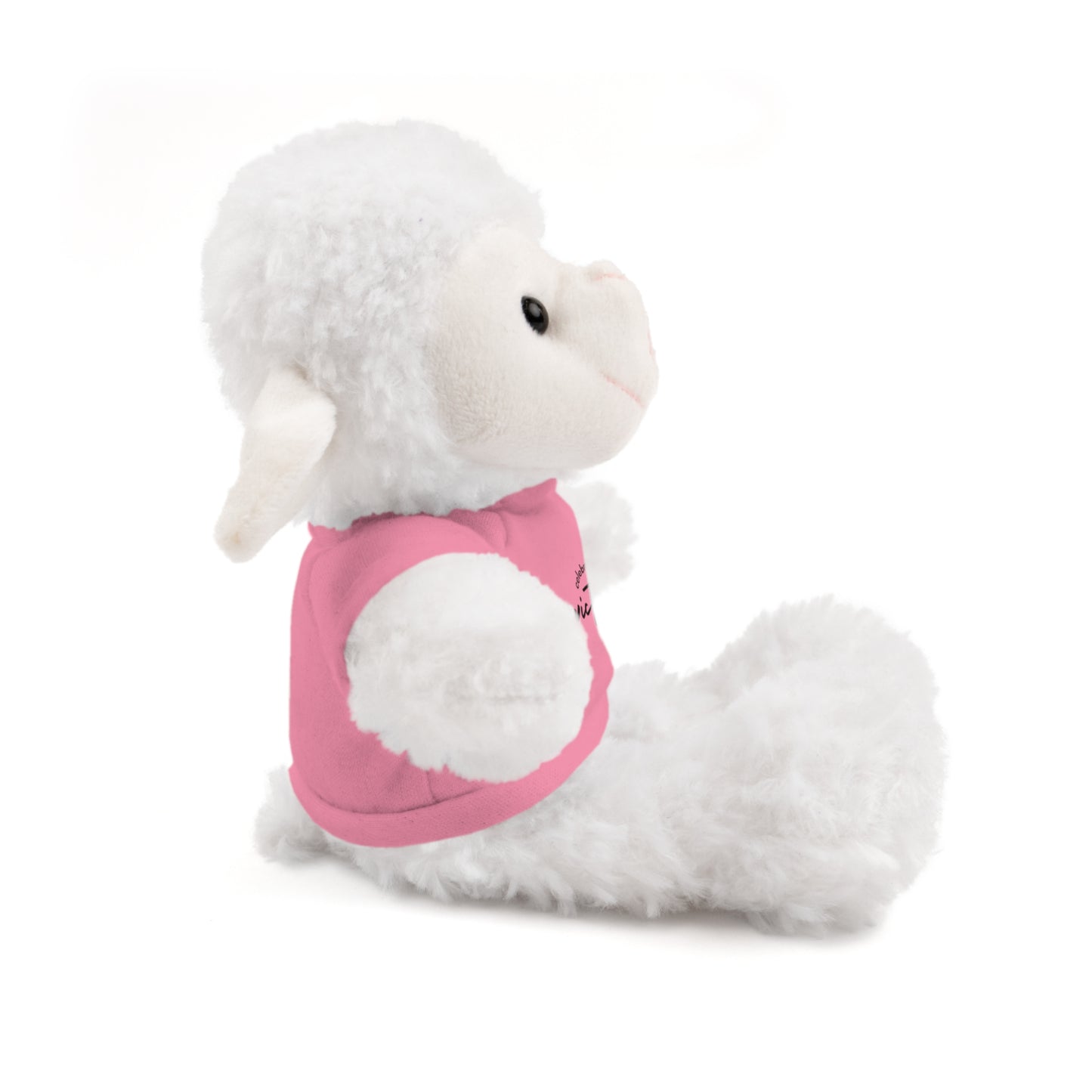 Celebrate - Stuffed Animals with Tee