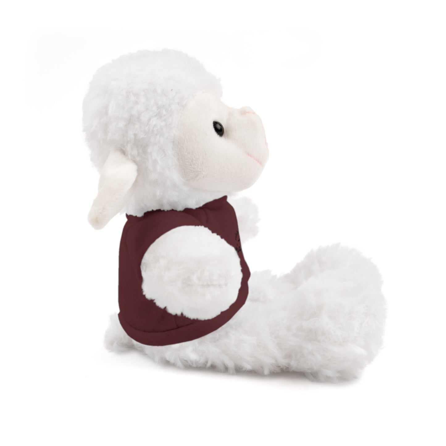 Celebrate - Stuffed Animals with Tee