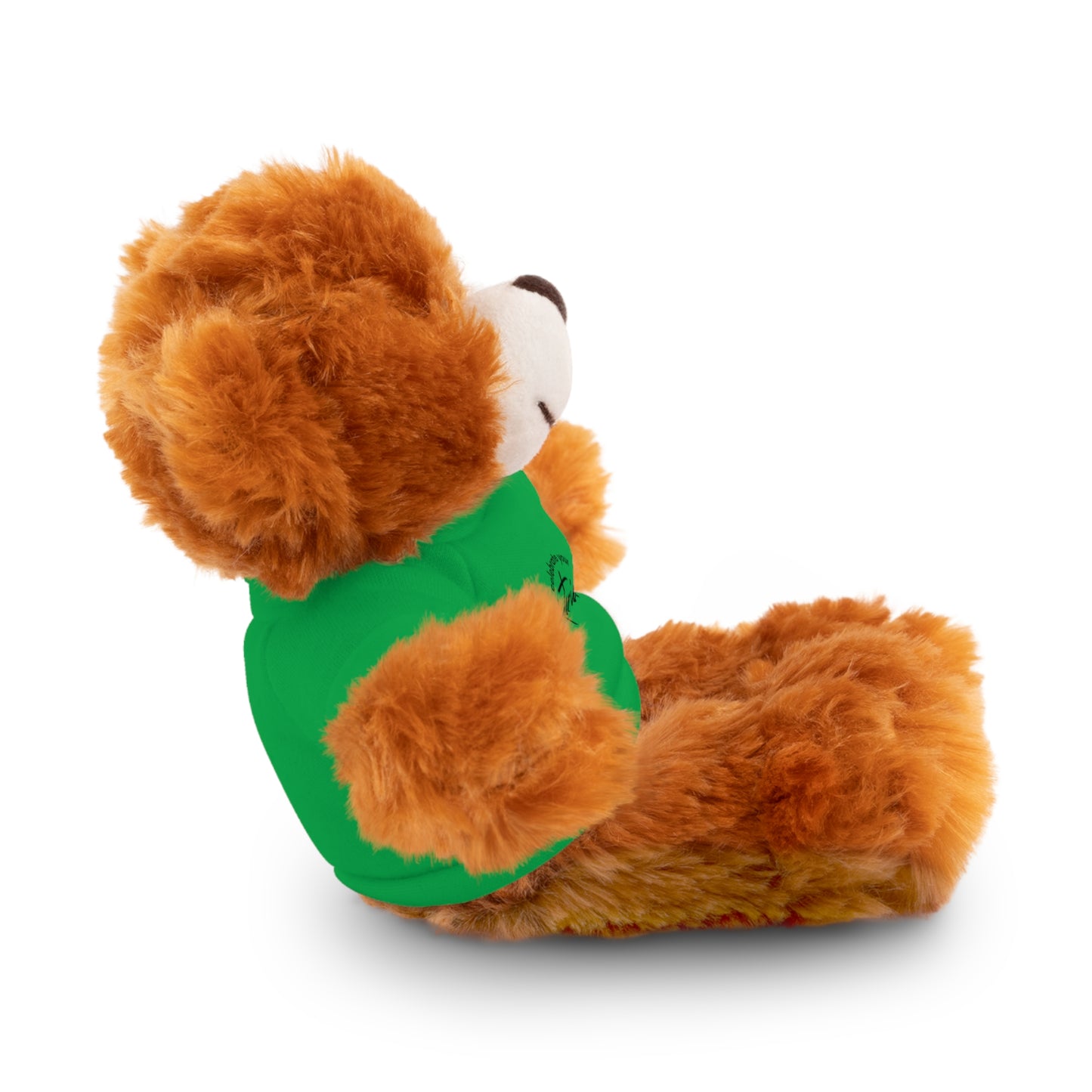 Celebrate - Stuffed Animals with Tee