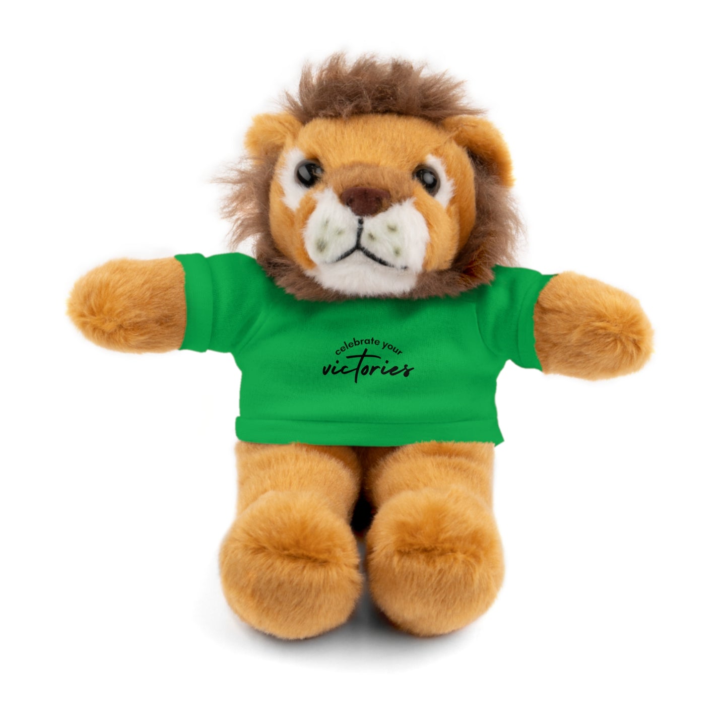 Celebrate - Stuffed Animals with Tee