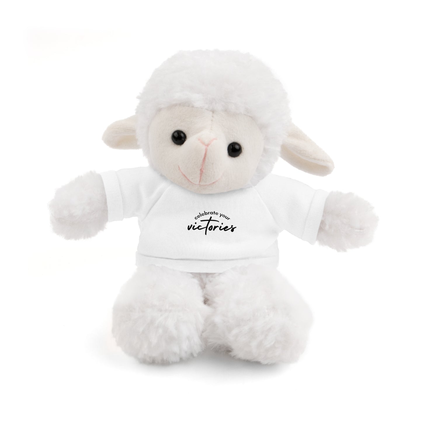 Celebrate - Stuffed Animals with Tee