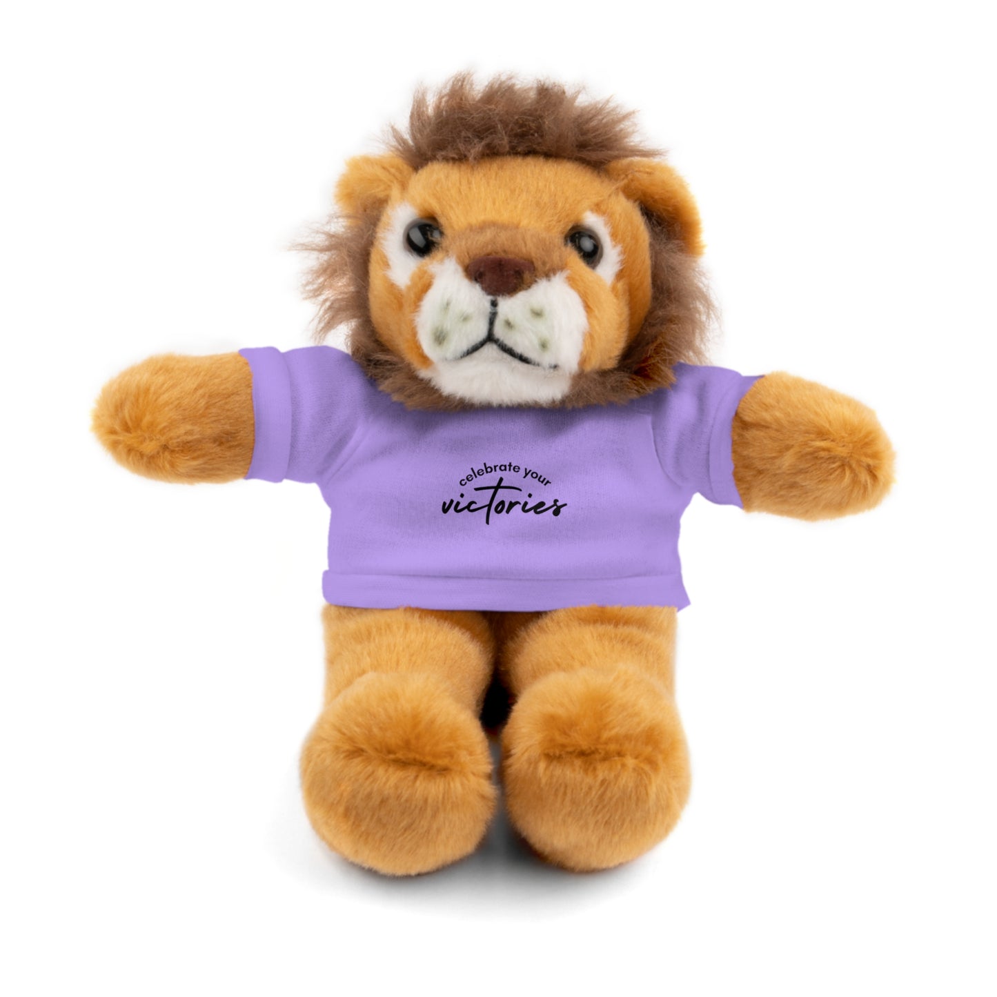 Celebrate - Stuffed Animals with Tee