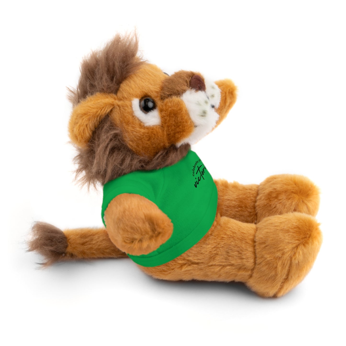 Celebrate - Stuffed Animals with Tee