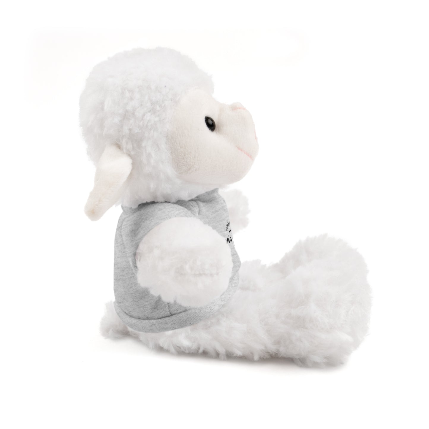 Celebrate - Stuffed Animals with Tee