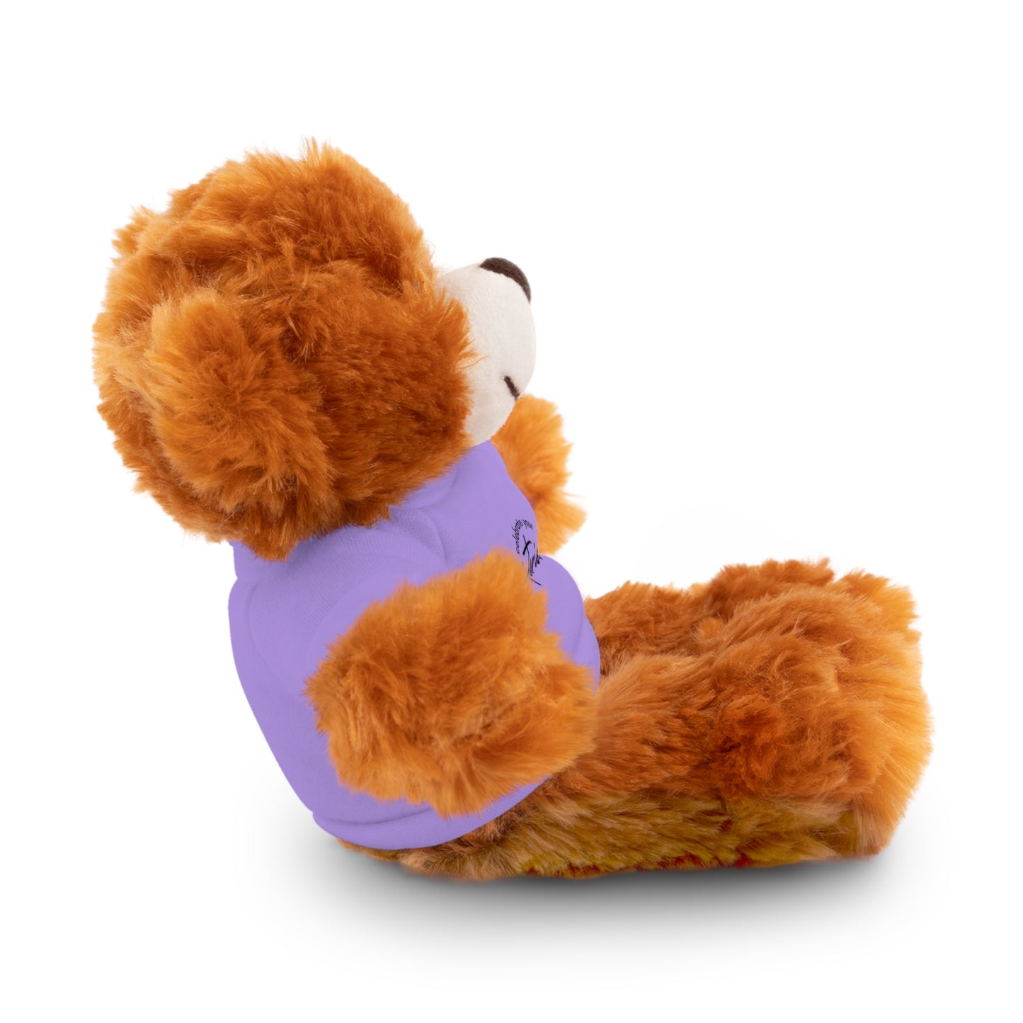 Celebrate - Stuffed Animals with Tee