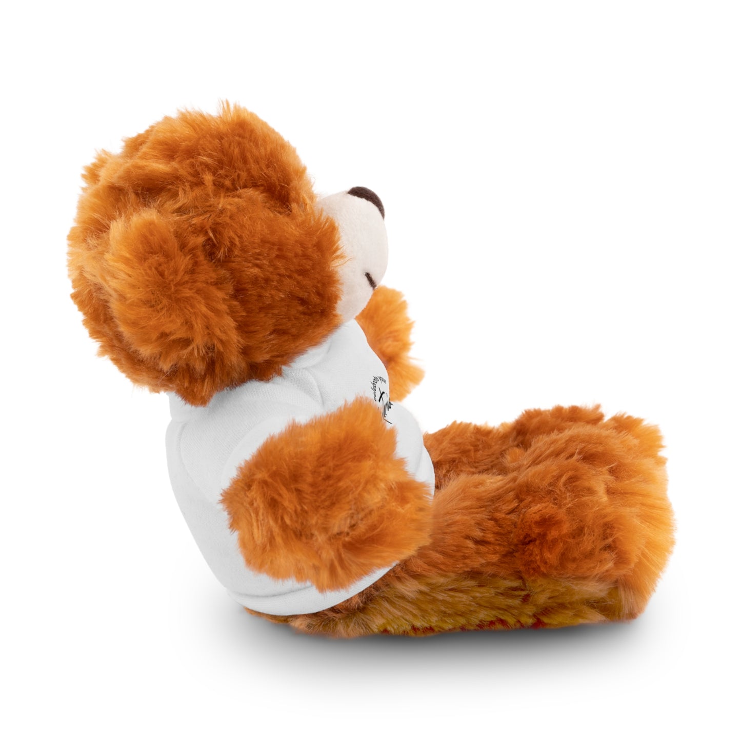 Celebrate - Stuffed Animals with Tee