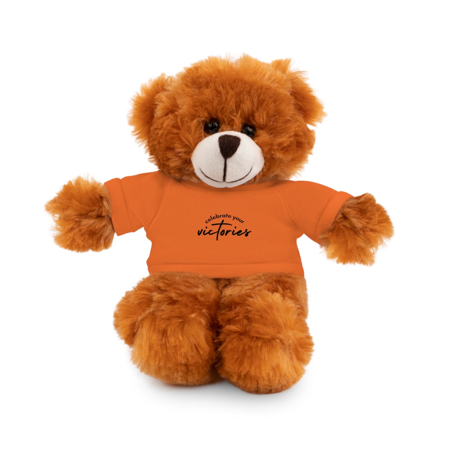 Celebrate - Stuffed Animals with Tee