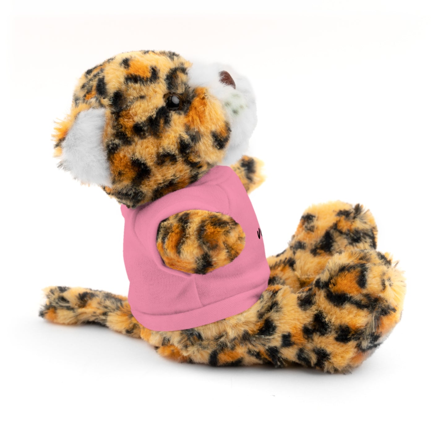 Celebrate - Stuffed Animals with Tee