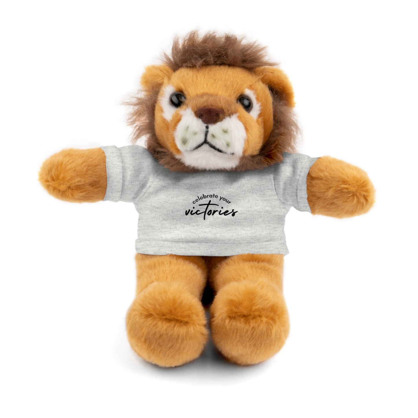 Celebrate - Stuffed Animals with Tee