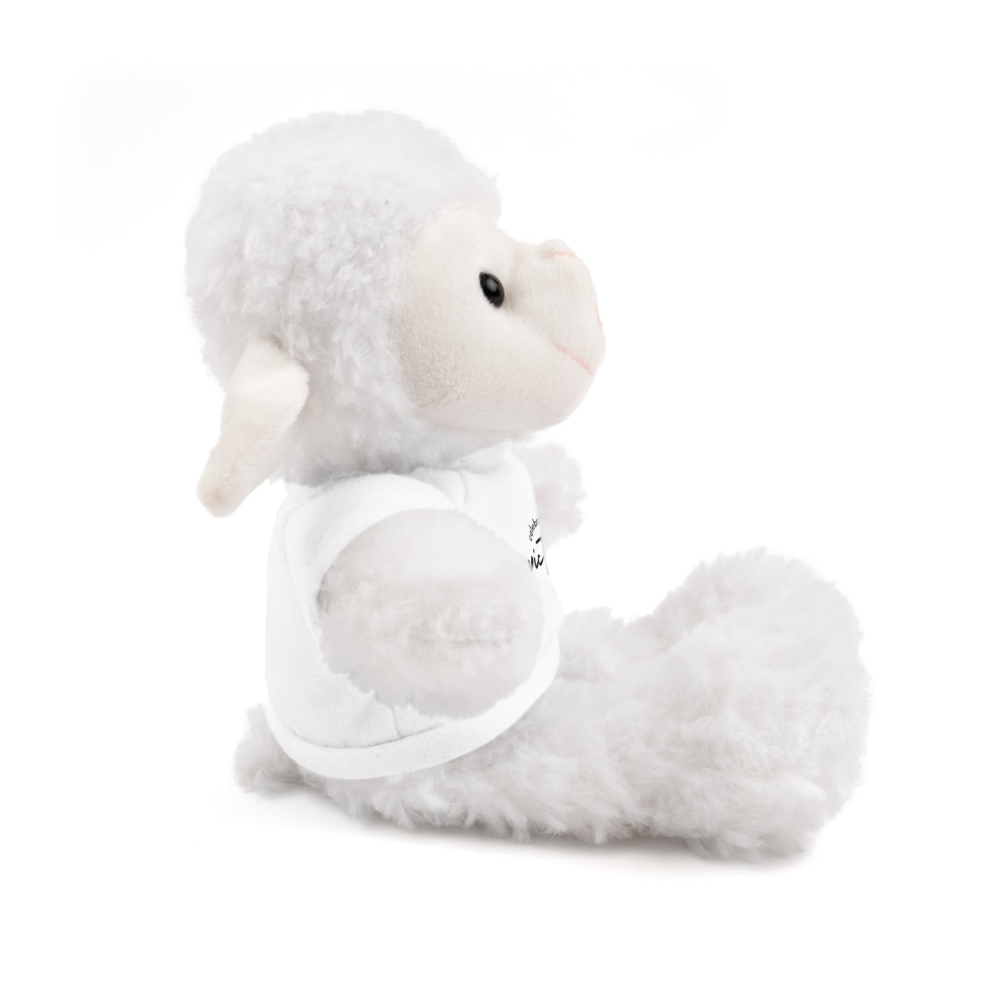 Celebrate - Stuffed Animals with Tee