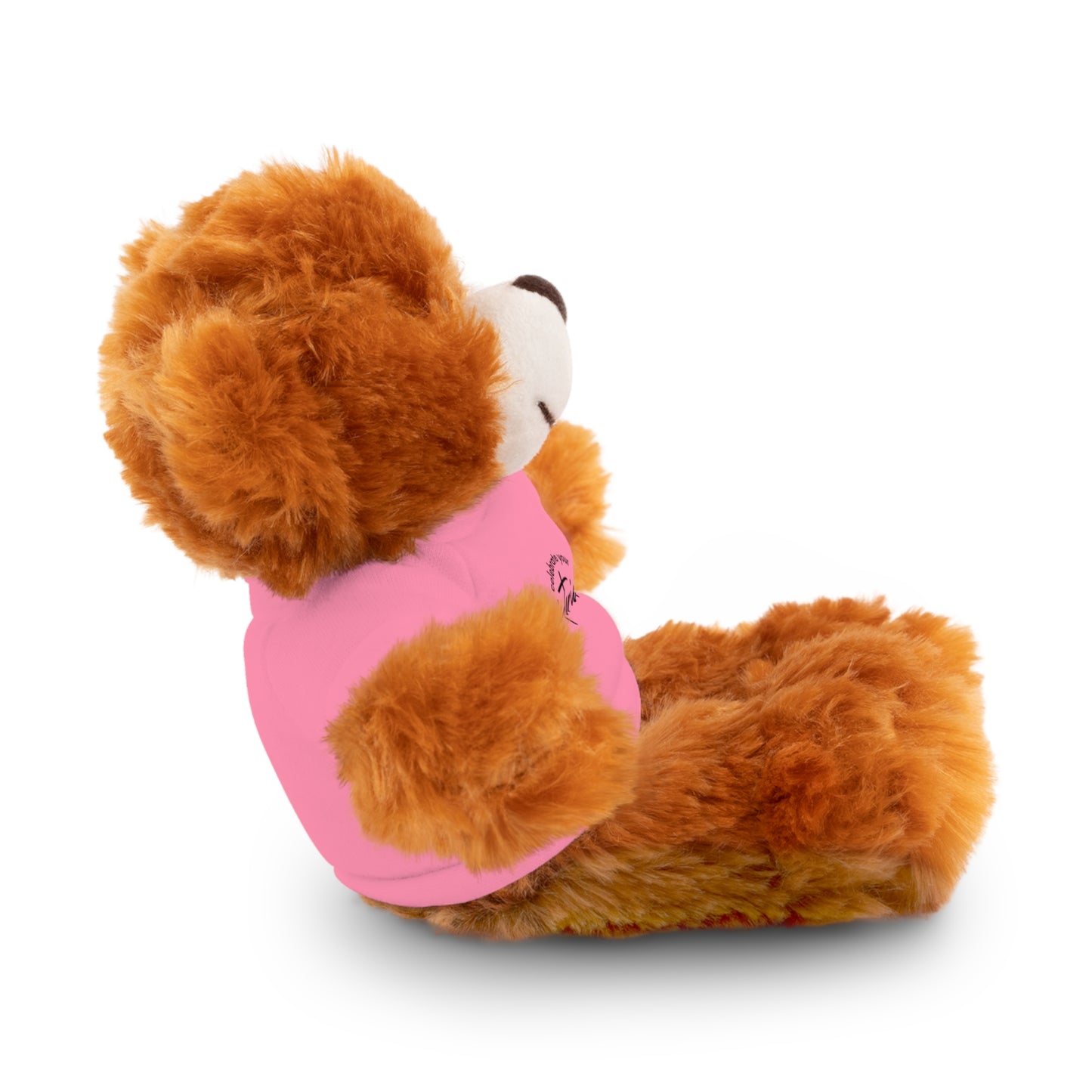 Celebrate - Stuffed Animals with Tee