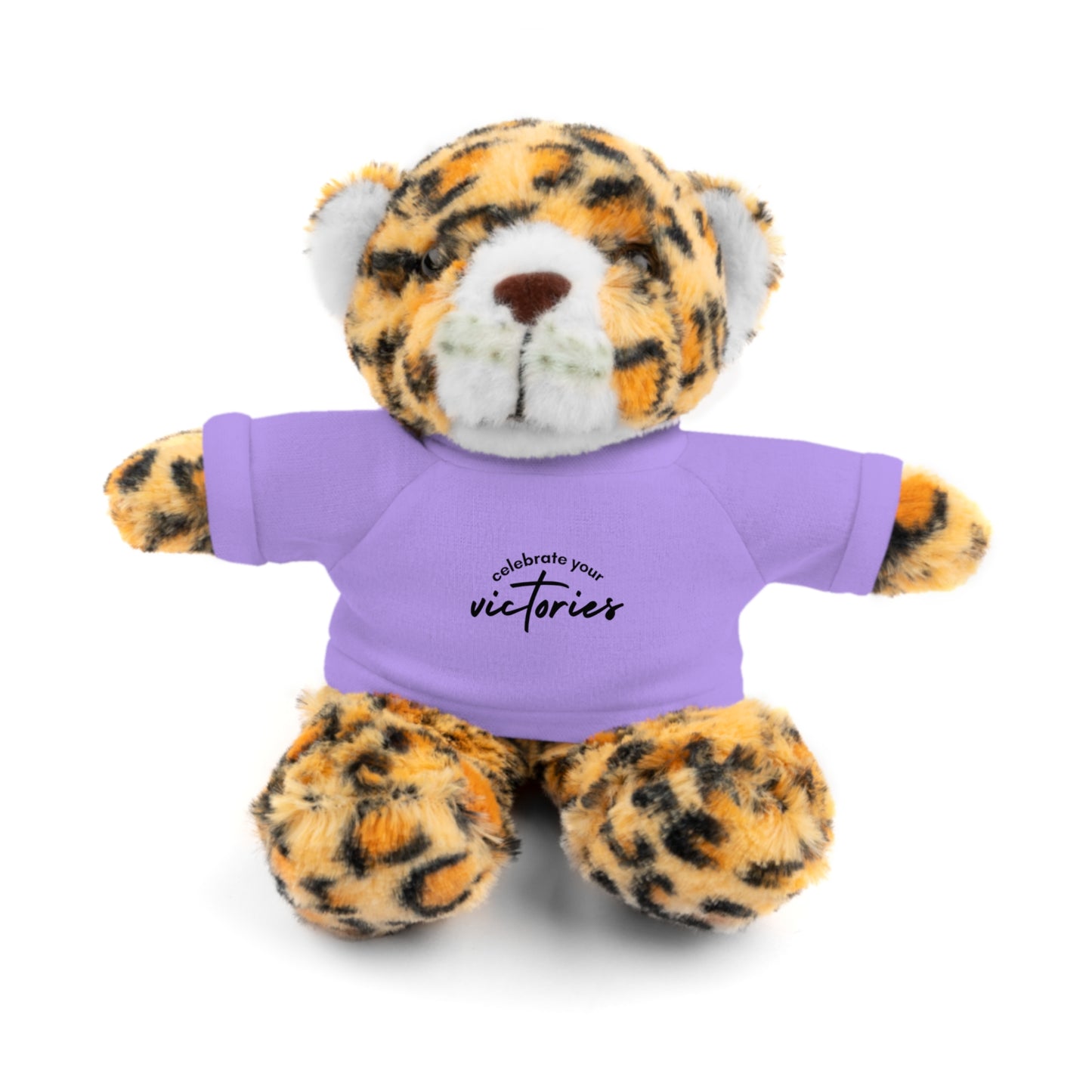 Celebrate - Stuffed Animals with Tee