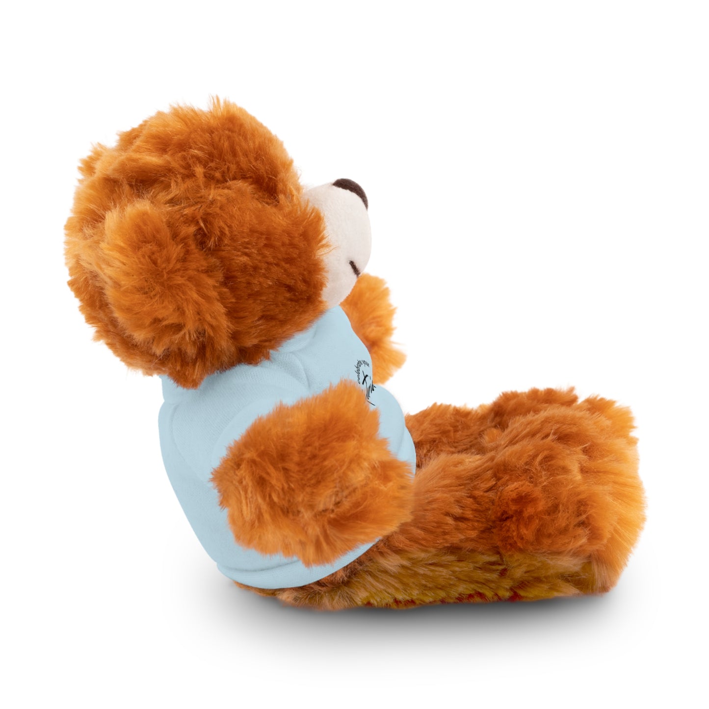 Celebrate - Stuffed Animals with Tee