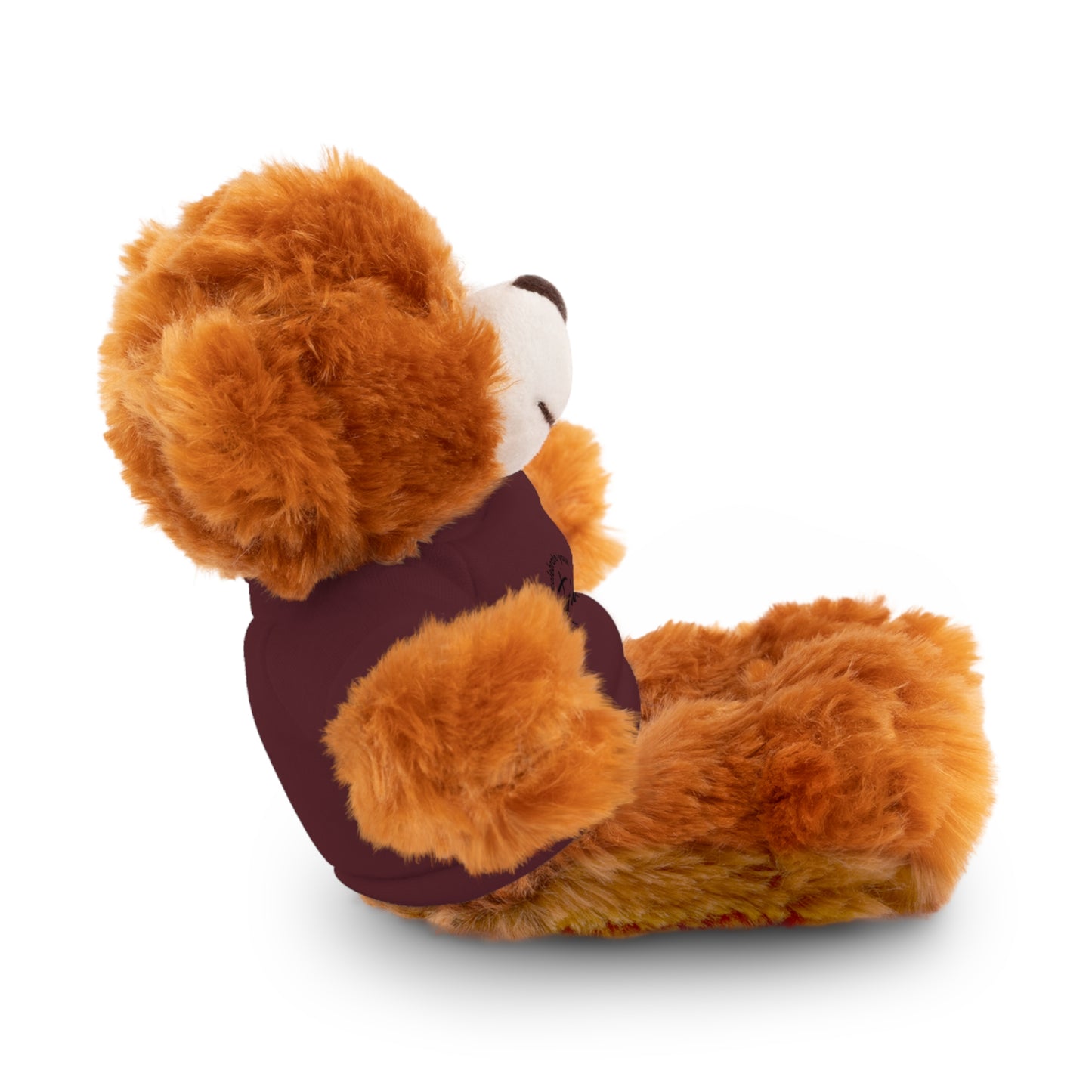 Celebrate - Stuffed Animals with Tee