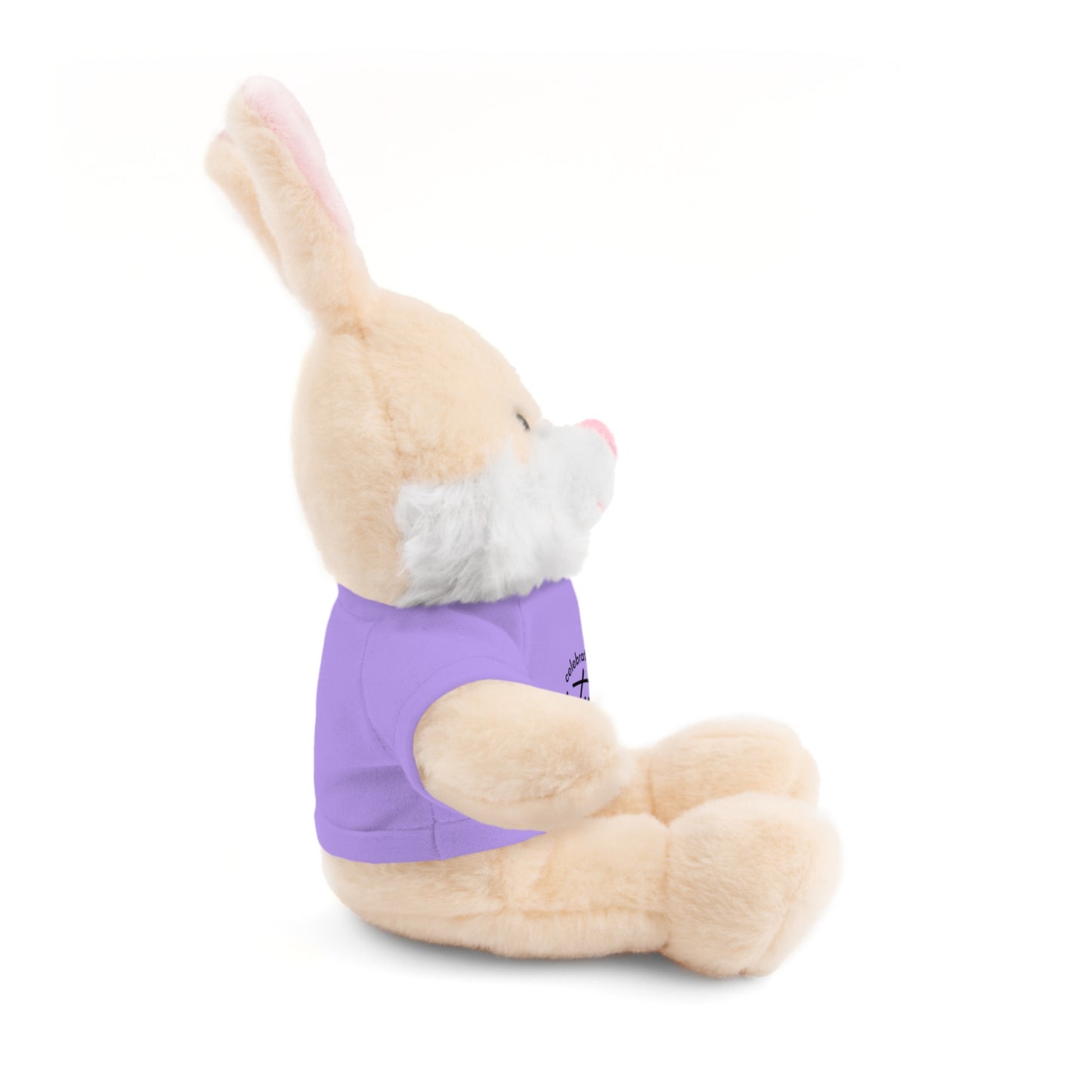 Celebrate - Stuffed Animals with Tee