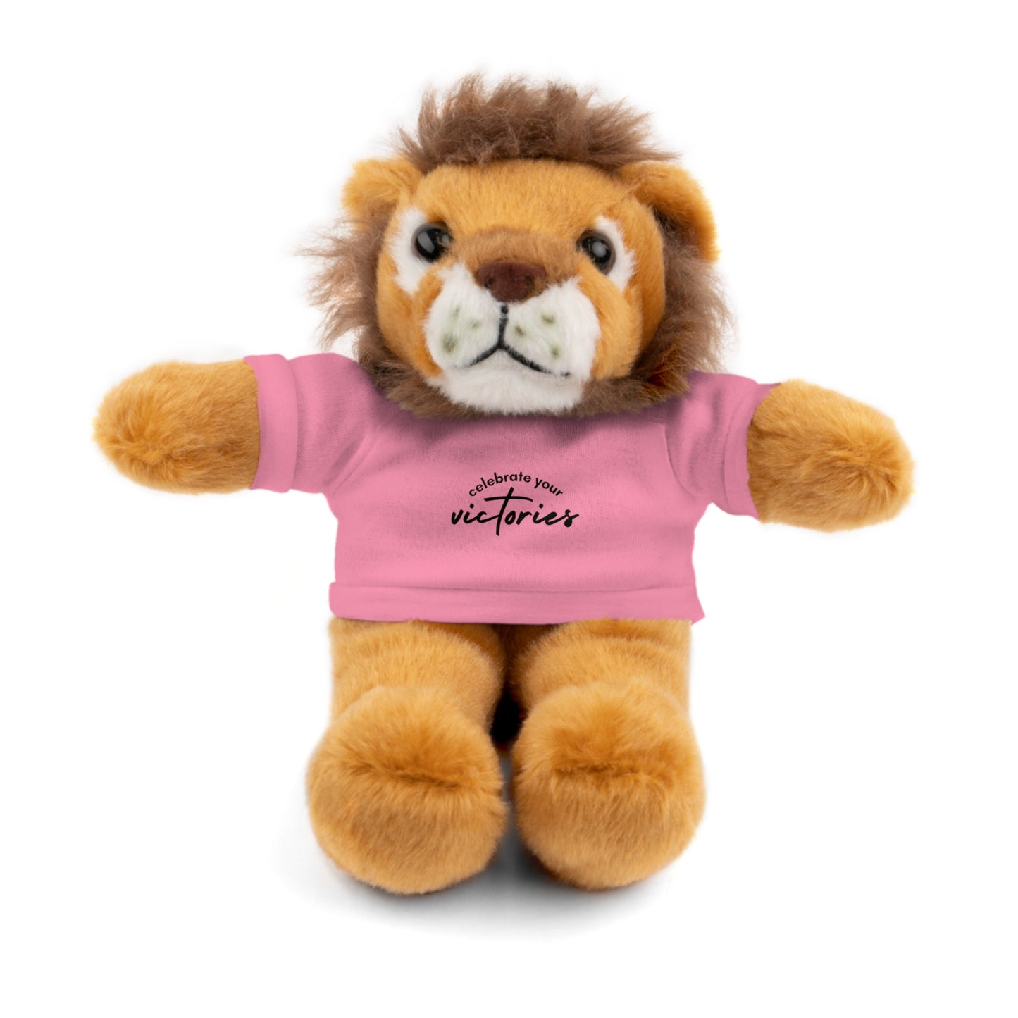 Celebrate - Stuffed Animals with Tee