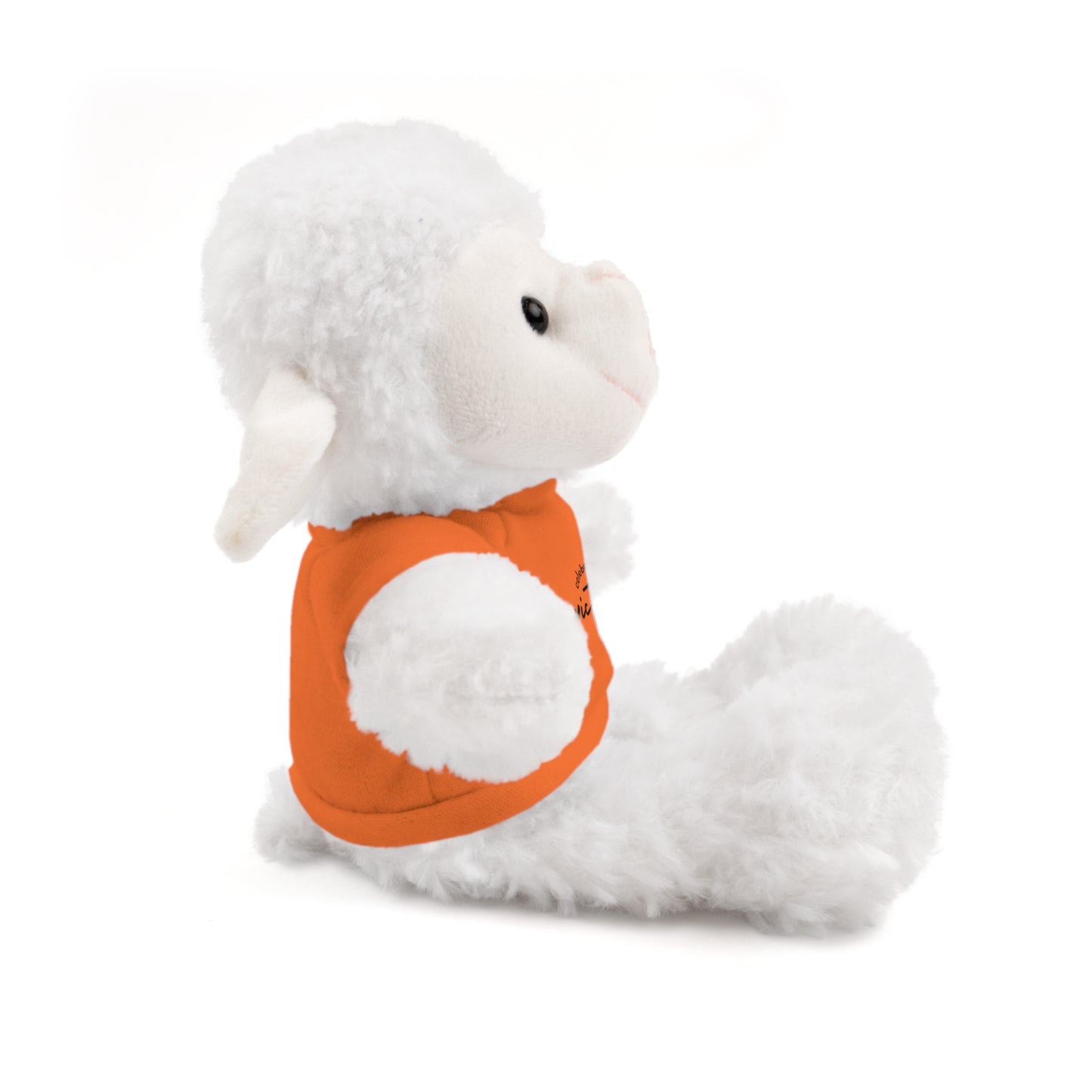 Celebrate - Stuffed Animals with Tee