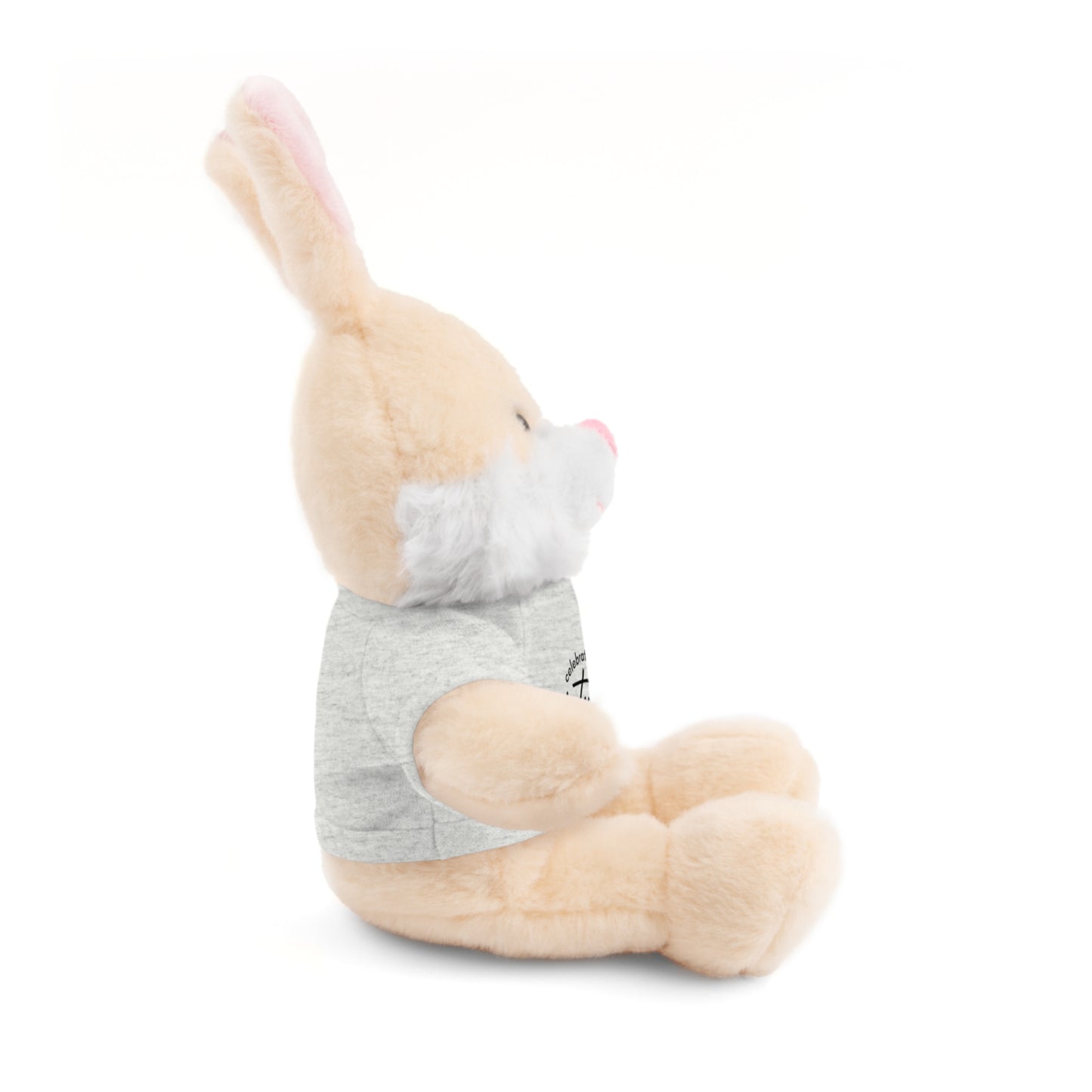 Celebrate - Stuffed Animals with Tee