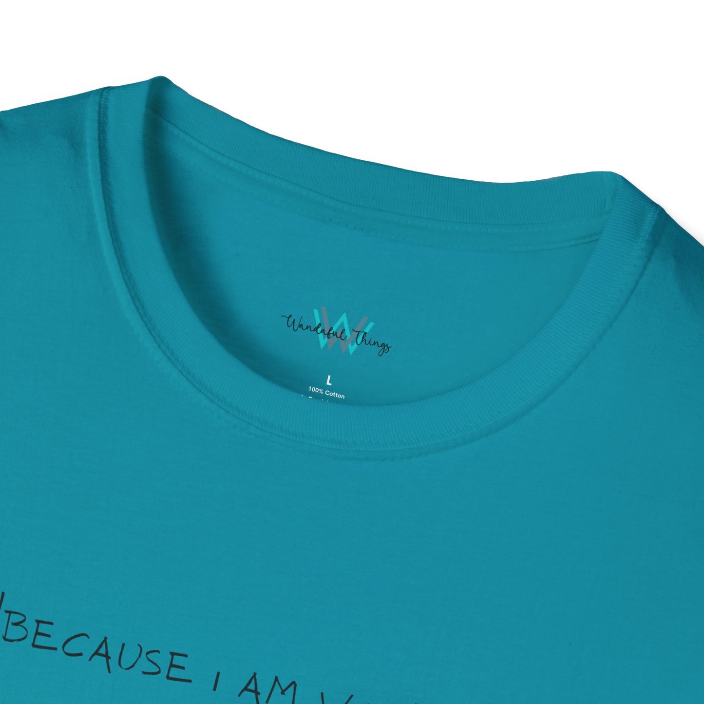 Worth It - Unisex Softstyle T-Shirt
