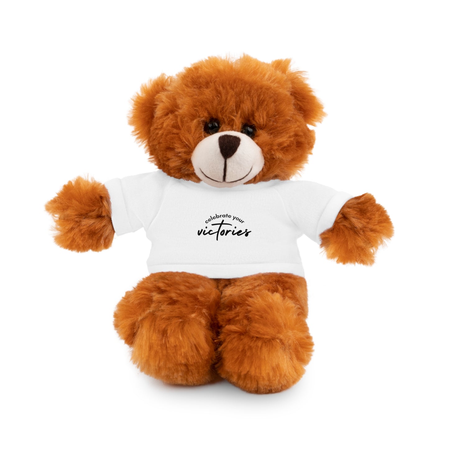 Celebrate - Stuffed Animals with Tee