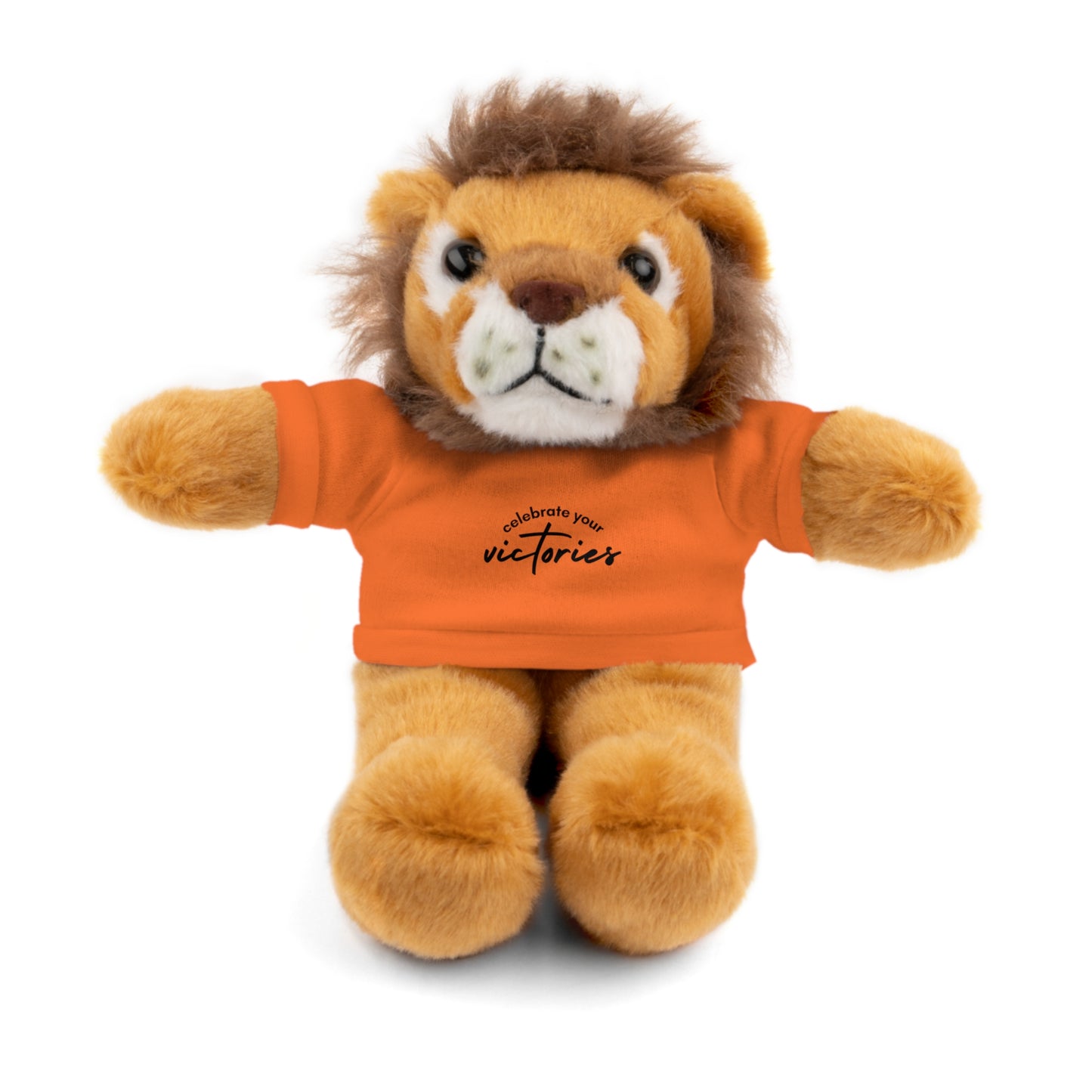 Celebrate - Stuffed Animals with Tee