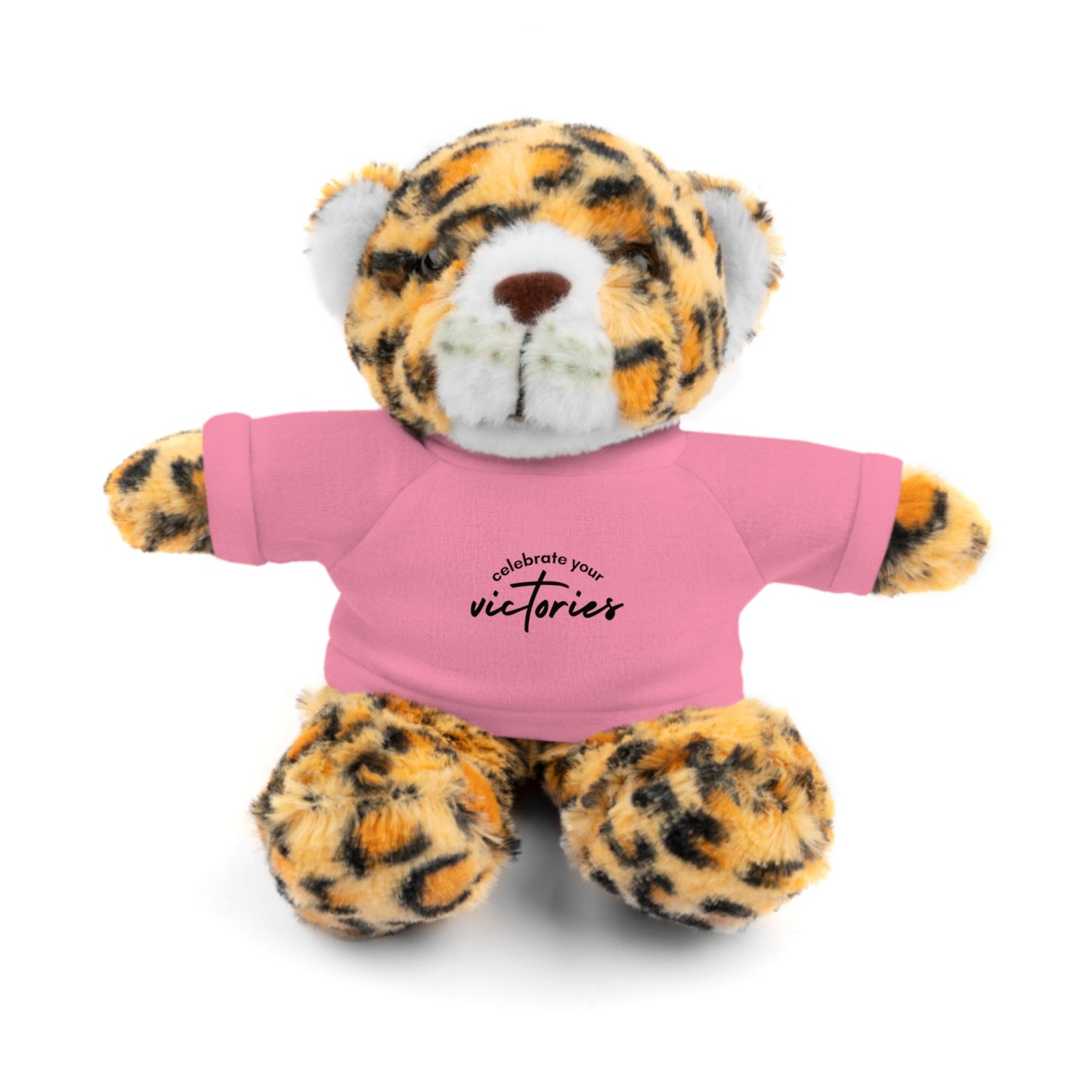 Celebrate - Stuffed Animals with Tee