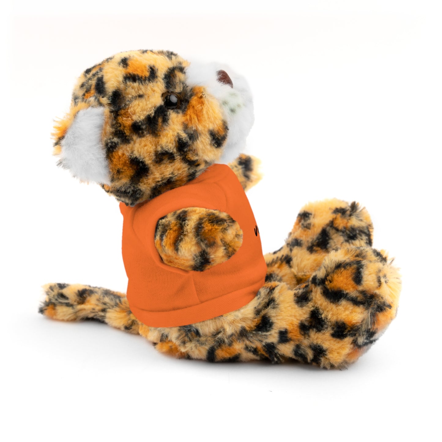 Celebrate - Stuffed Animals with Tee