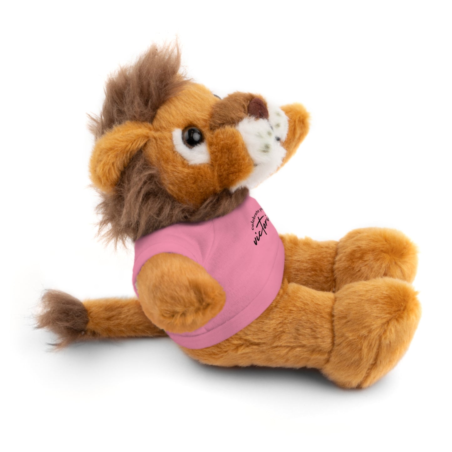 Celebrate - Stuffed Animals with Tee