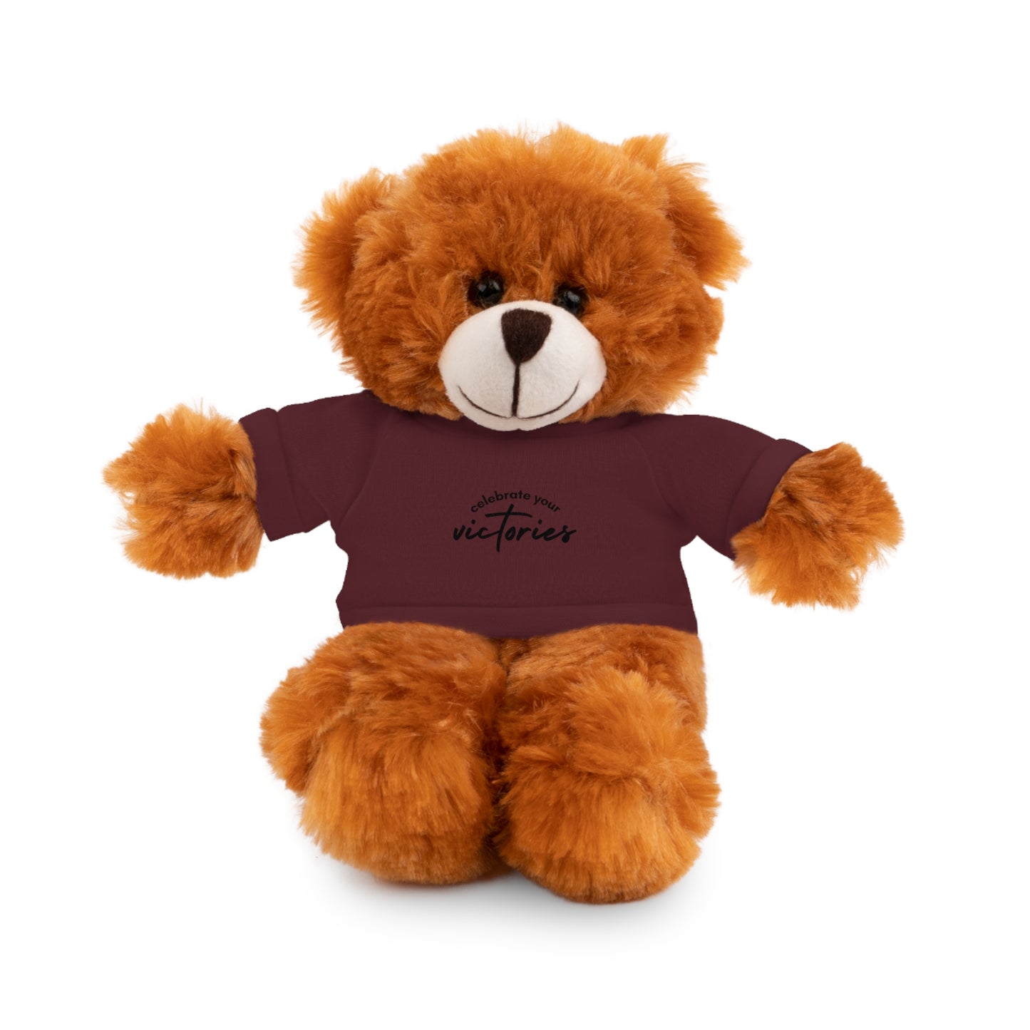 Celebrate - Stuffed Animals with Tee