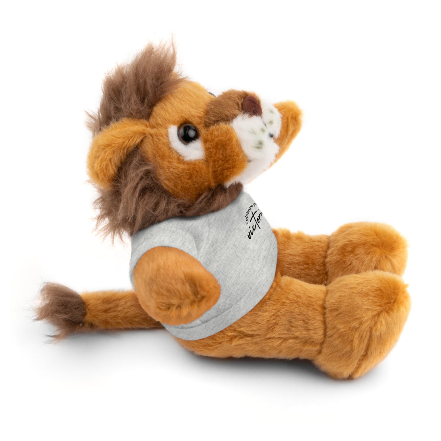 Celebrate - Stuffed Animals with Tee