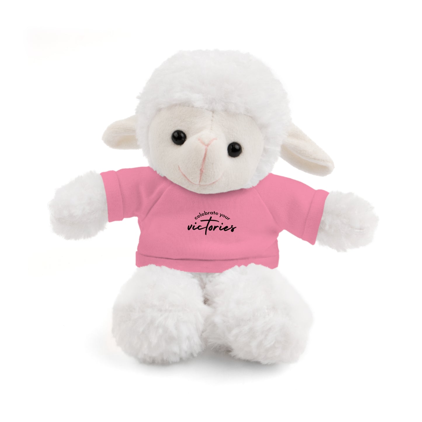 Celebrate - Stuffed Animals with Tee