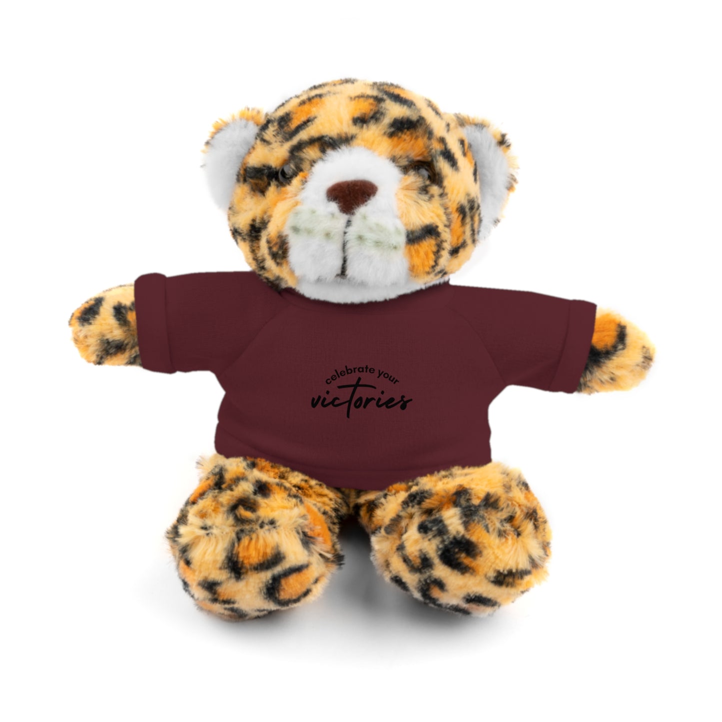 Celebrate - Stuffed Animals with Tee