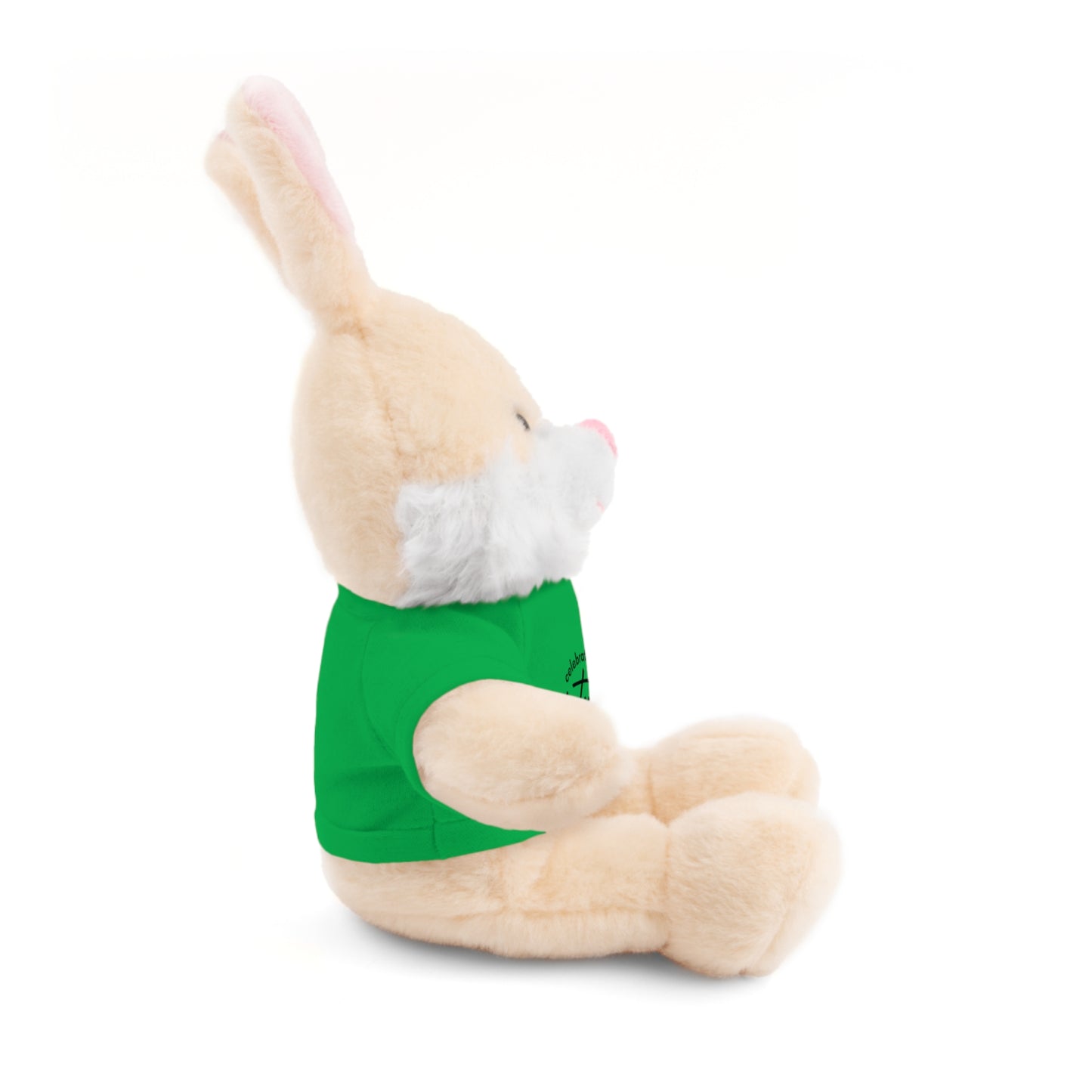 Celebrate - Stuffed Animals with Tee