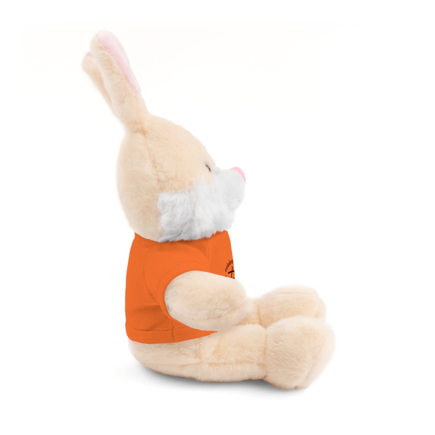 Celebrate - Stuffed Animals with Tee