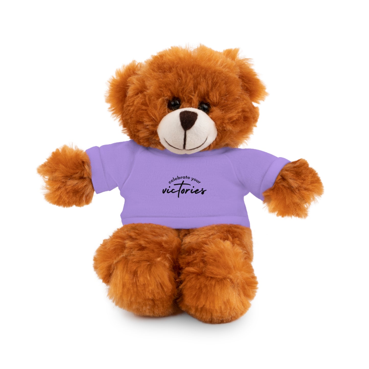 Celebrate - Stuffed Animals with Tee