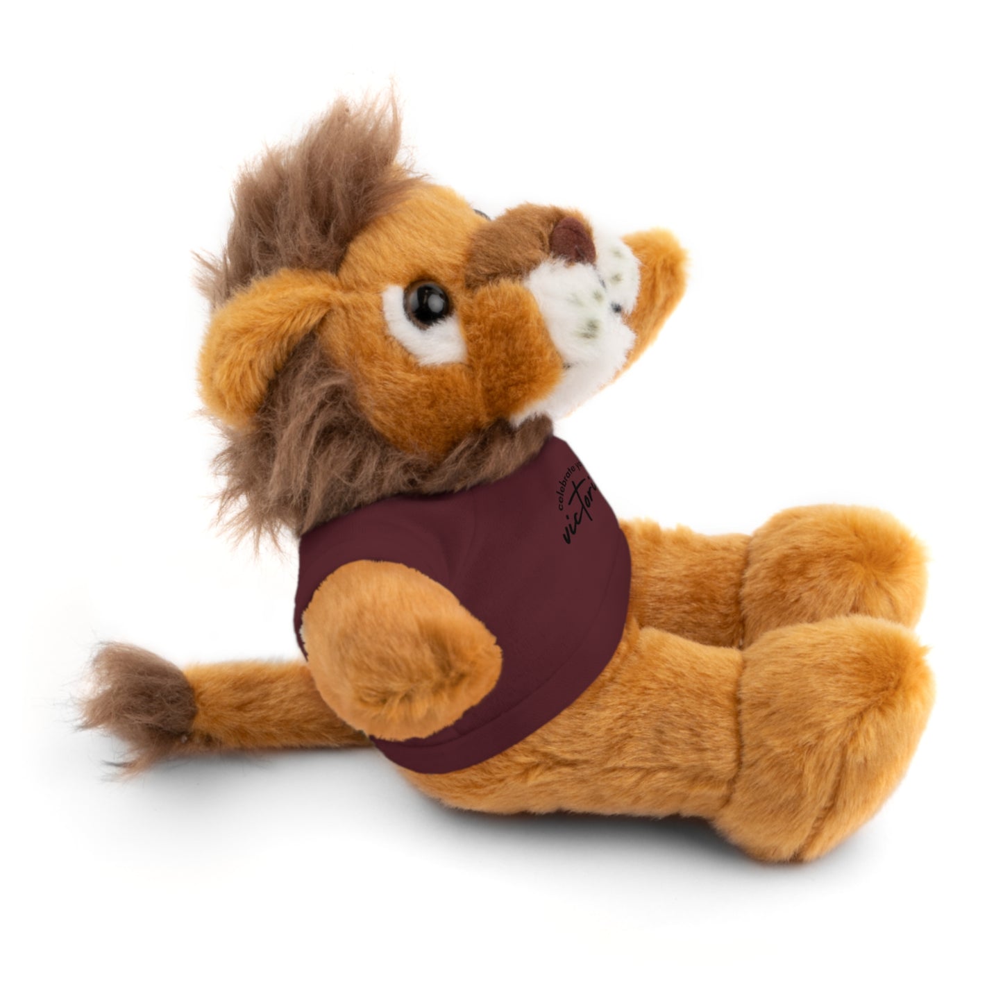 Celebrate - Stuffed Animals with Tee