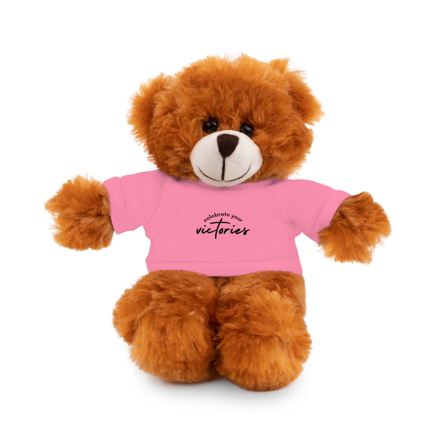 Celebrate - Stuffed Animals with Tee