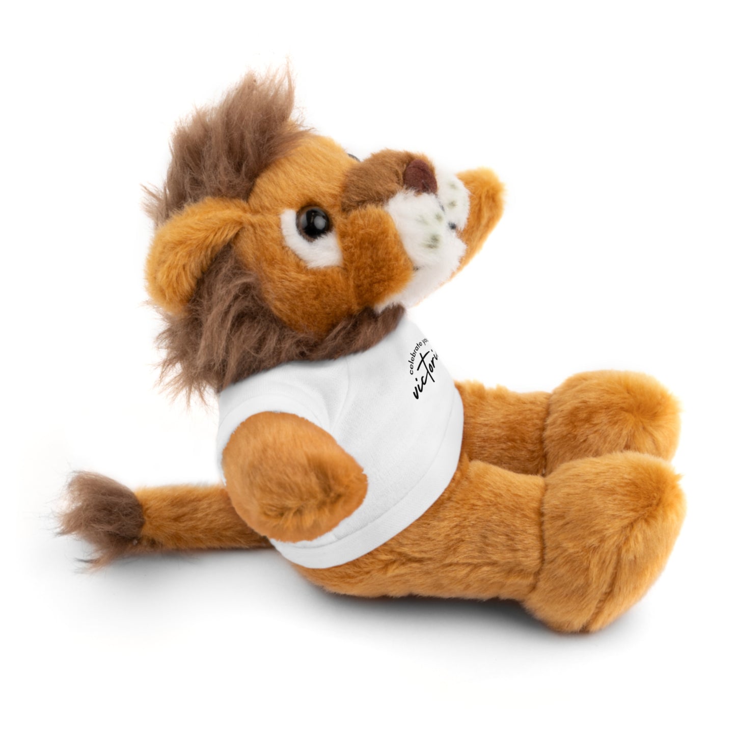 Celebrate - Stuffed Animals with Tee