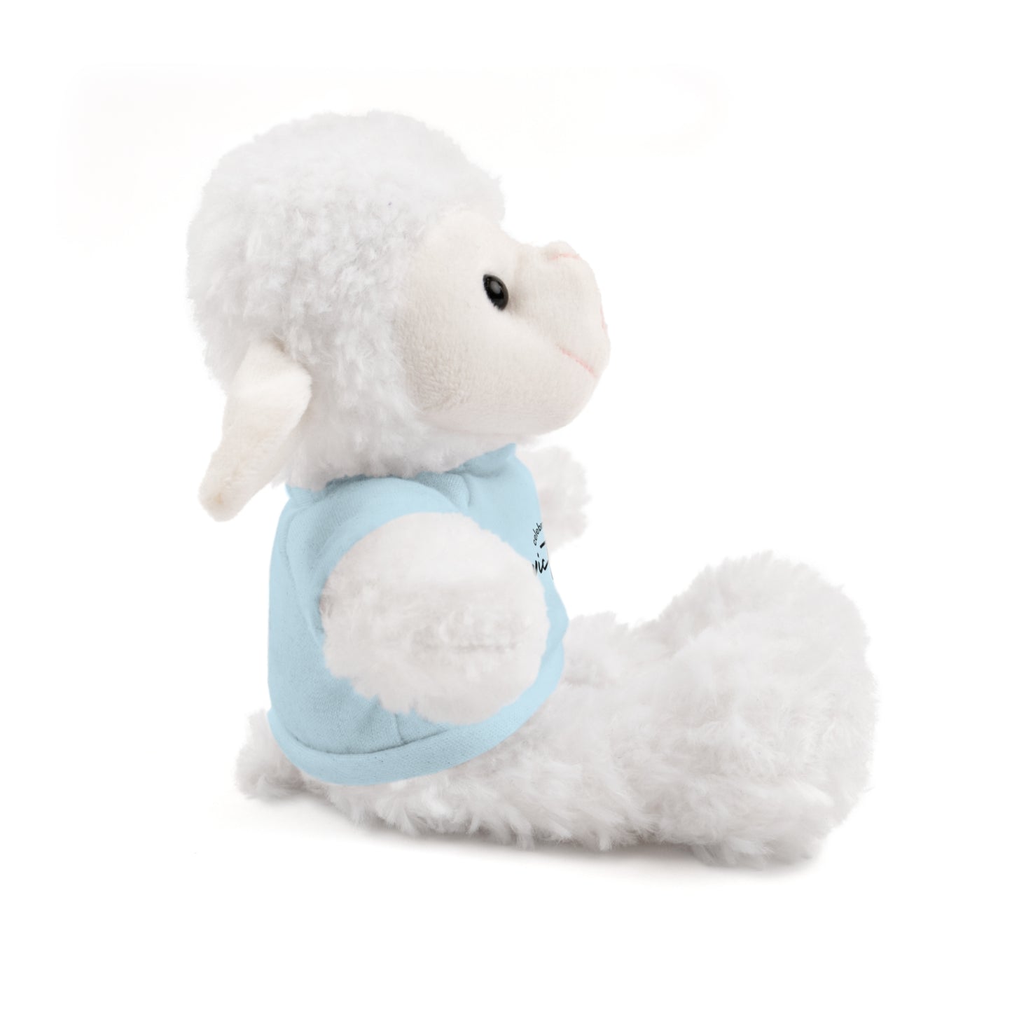 Celebrate - Stuffed Animals with Tee