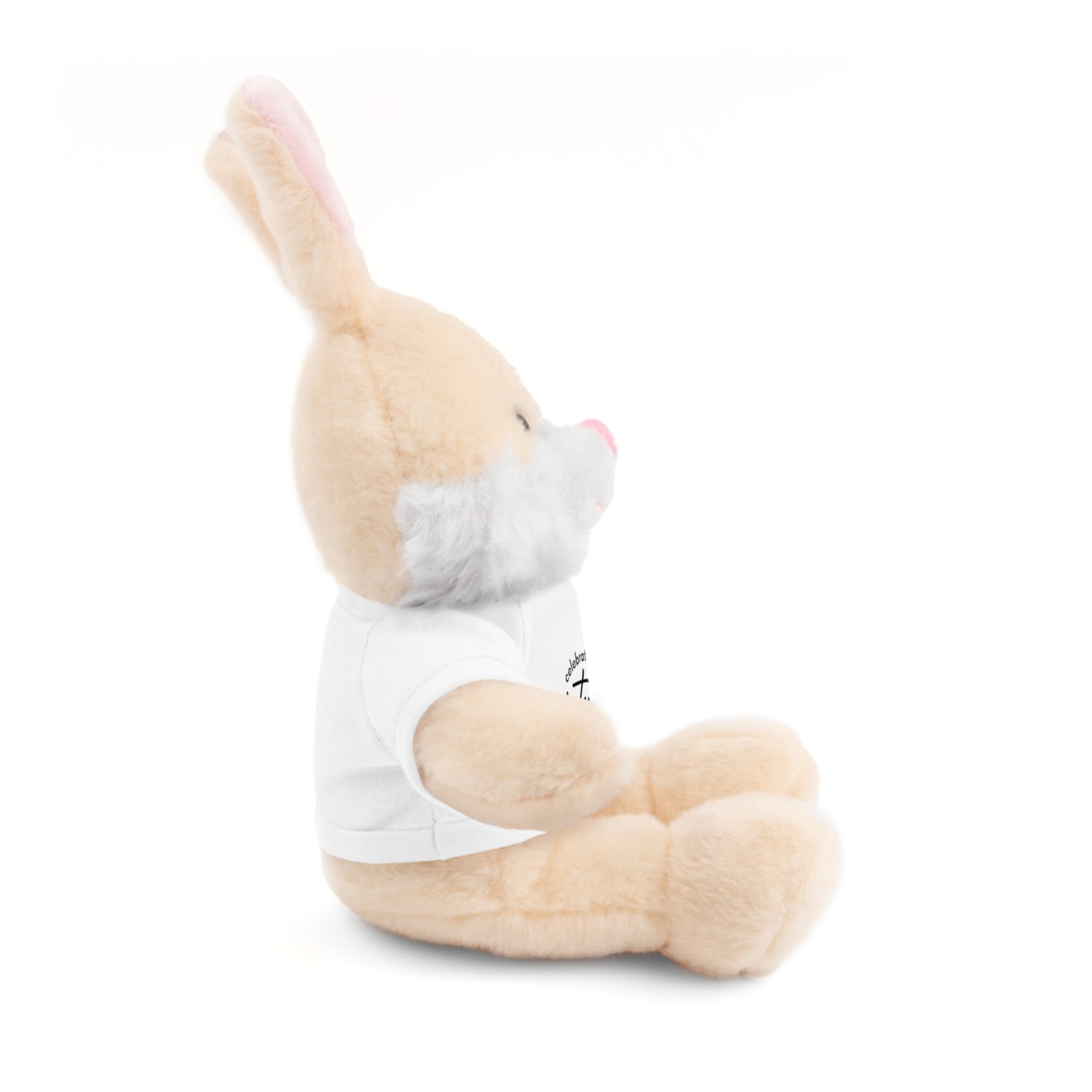 Celebrate - Stuffed Animals with Tee