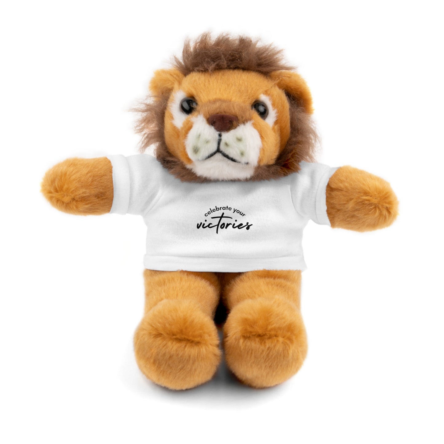 Celebrate - Stuffed Animals with Tee