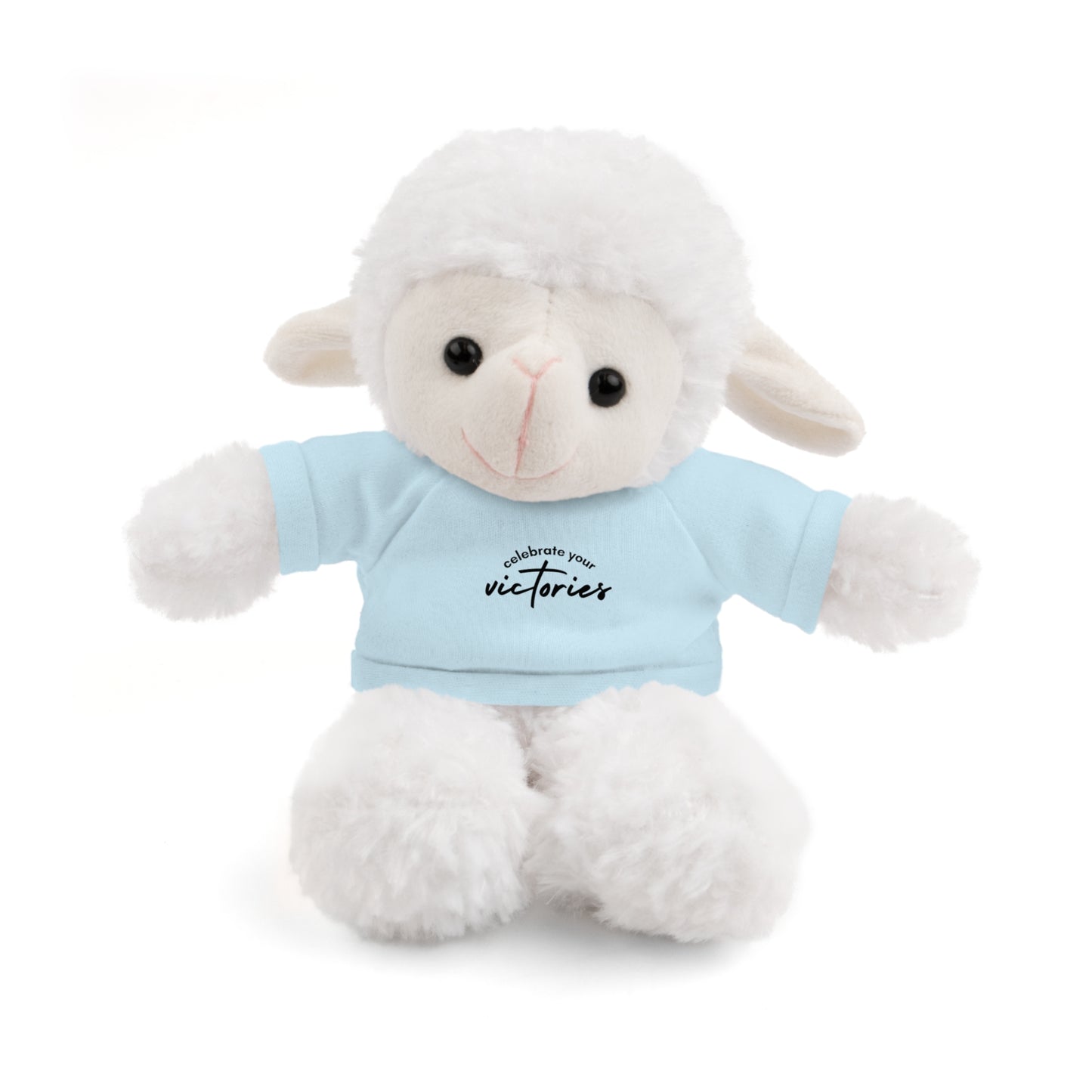 Celebrate - Stuffed Animals with Tee