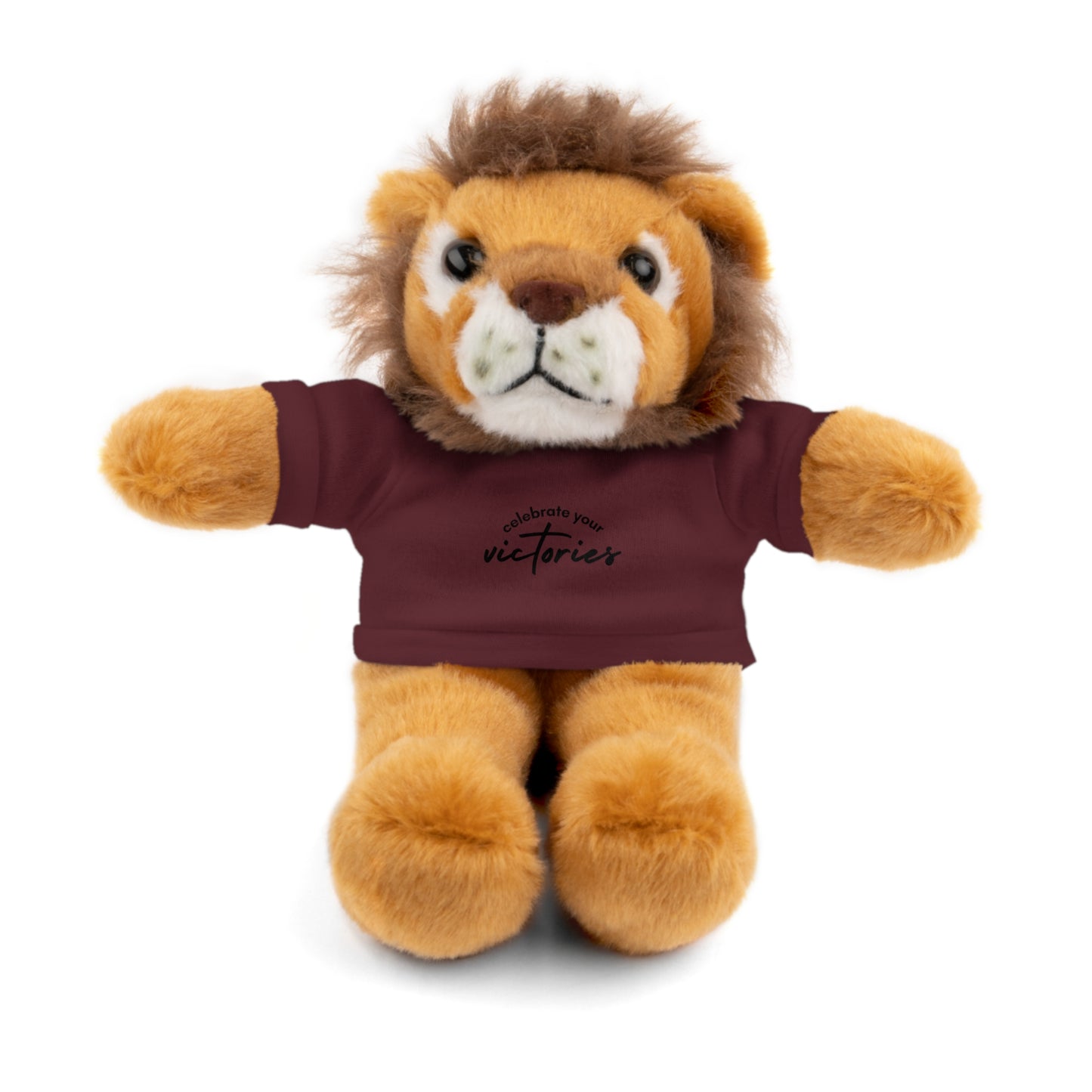 Celebrate - Stuffed Animals with Tee