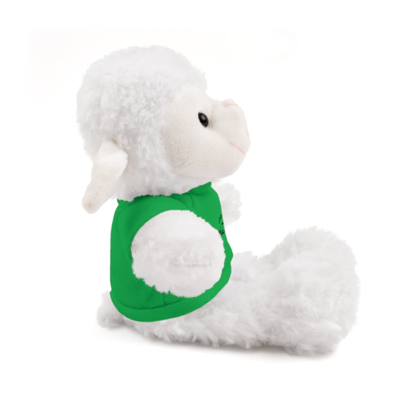 Celebrate - Stuffed Animals with Tee