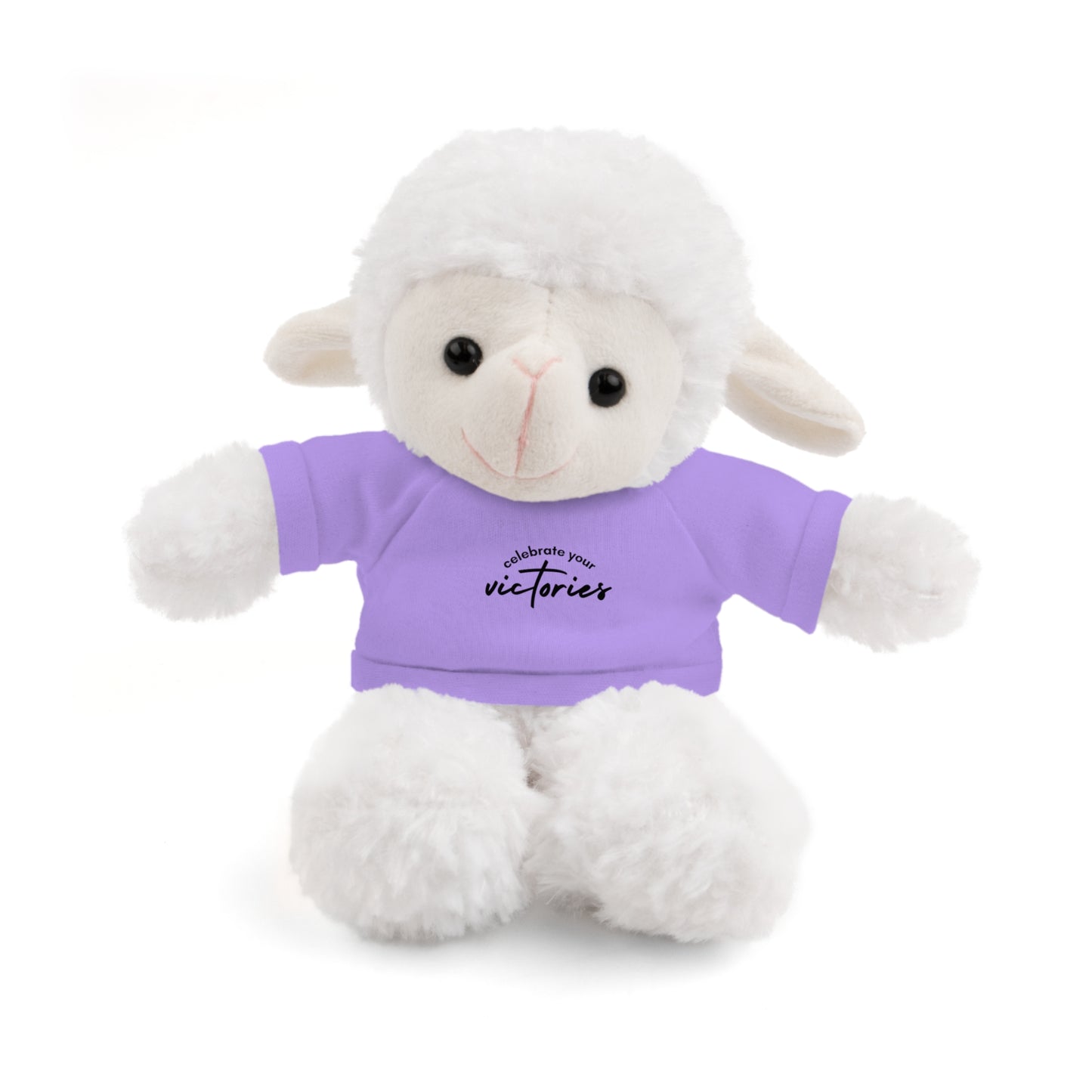 Celebrate - Stuffed Animals with Tee