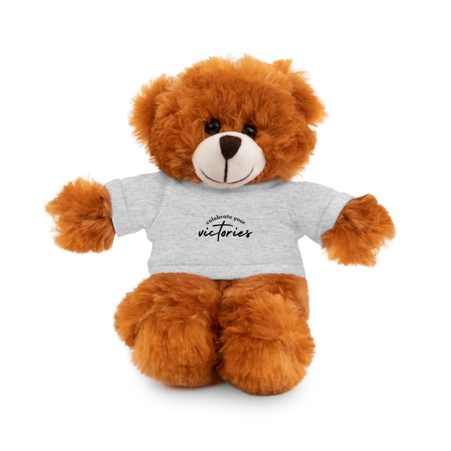 Celebrate - Stuffed Animals with Tee